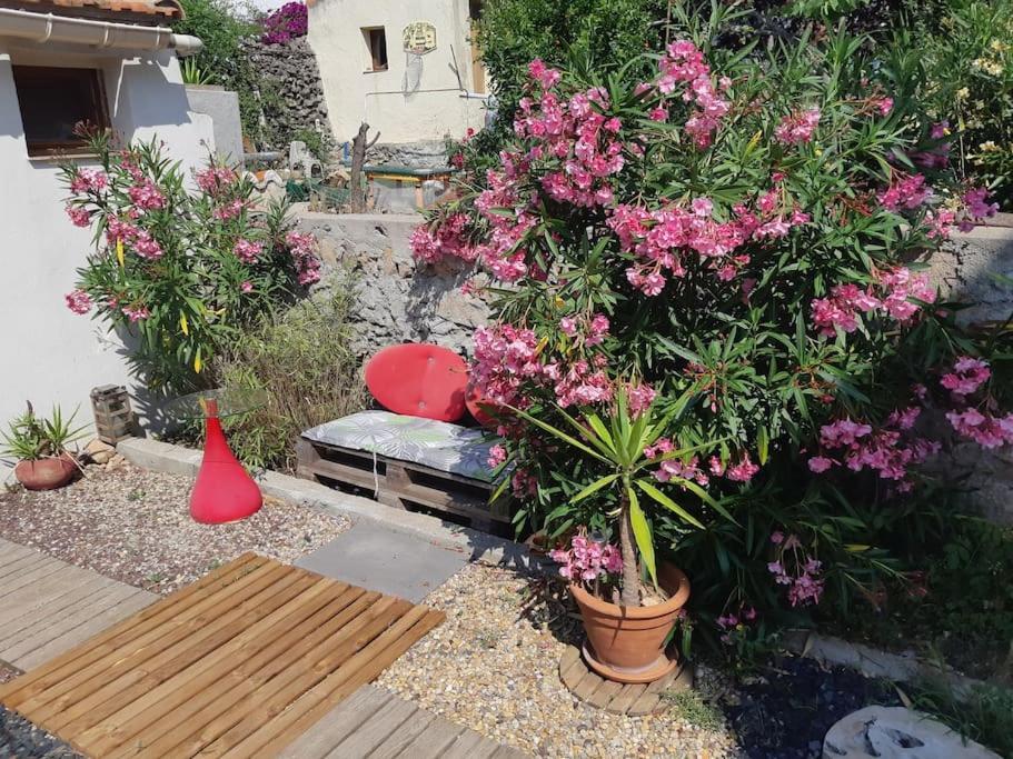 Sète Haut De Villa Au Mont St Clair Vue Exceptionnelle Mer Et Foret Terrasses, Piscine, Petanque, Solarium Prives מראה חיצוני תמונה