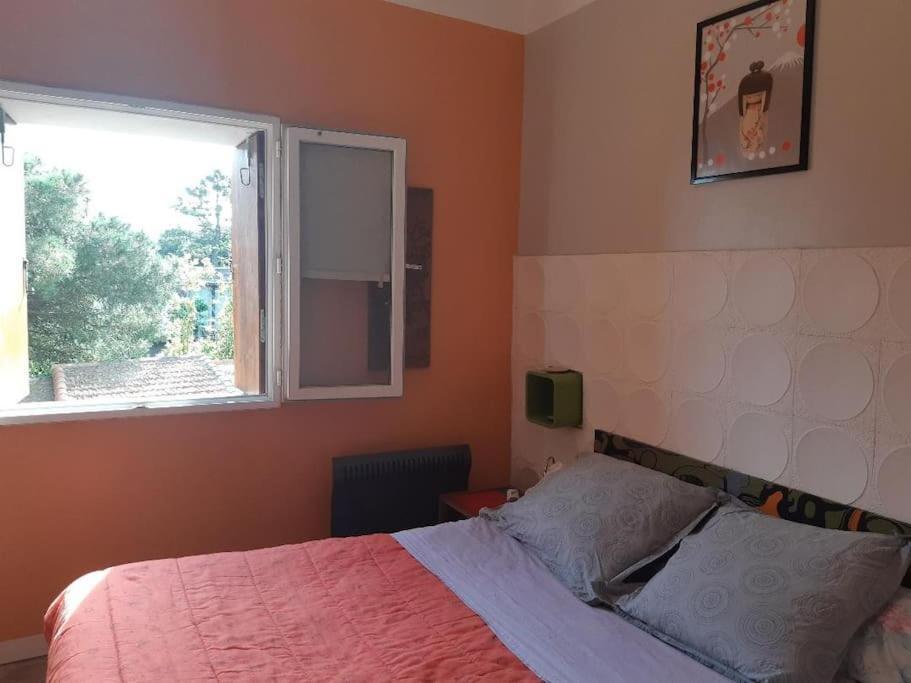 Sète Haut De Villa Au Mont St Clair Vue Exceptionnelle Mer Et Foret Terrasses, Piscine, Petanque, Solarium Prives מראה חיצוני תמונה
