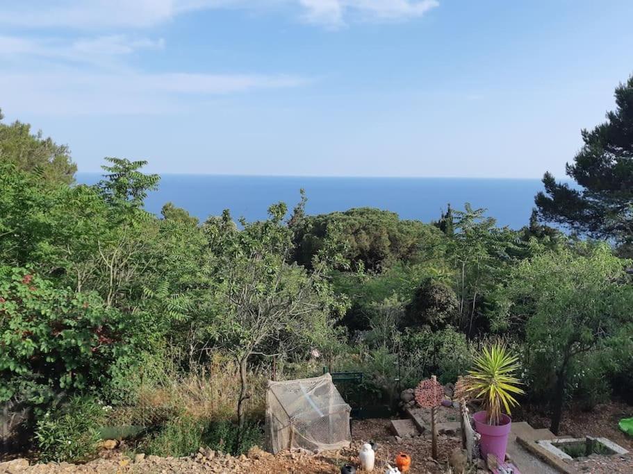 Sète Haut De Villa Au Mont St Clair Vue Exceptionnelle Mer Et Foret Terrasses, Piscine, Petanque, Solarium Prives מראה חיצוני תמונה